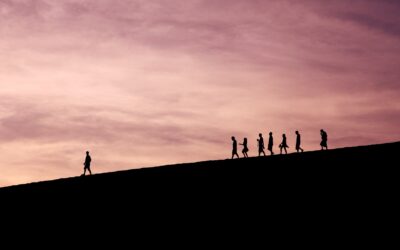 LEADERSHIP, CREDIBILITA’ E I NO MANCATI